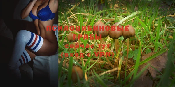 бошки Семёнов